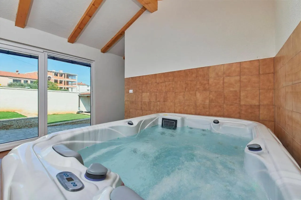 Old Stone Villa With Whirlpool And Sauna Liznjan Croatia